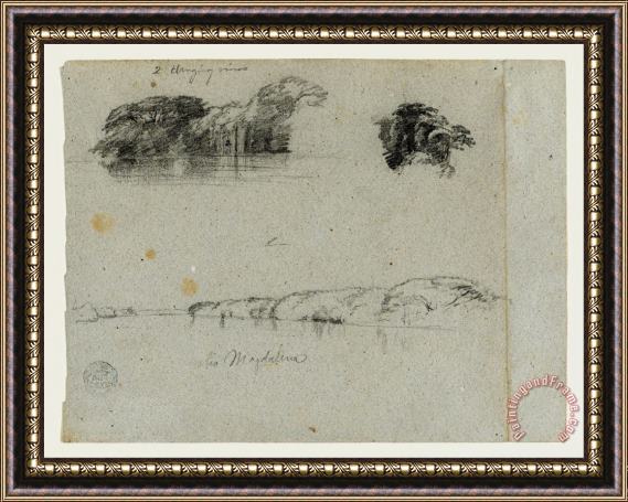Frederic Edwin Church Sketches of Trees, Vines And a Bank of The Rio Magdalena, Columbia Framed Print