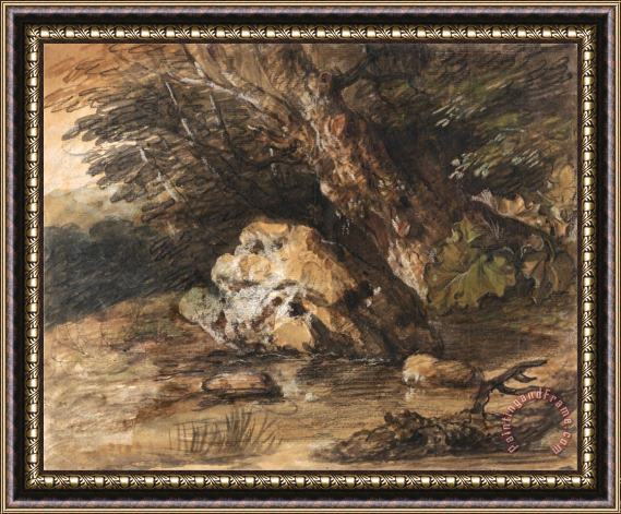 Gainsborough, Thomas A Woodland Pool with Rocks And Plants Framed Painting