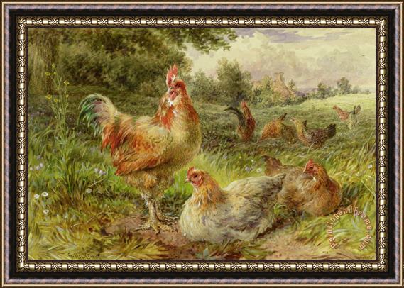 George Hickin Cochin China Fowls Framed Painting