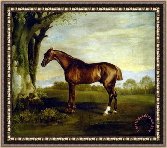 George Stubbs A Chestnut Racehorse Framed Painting