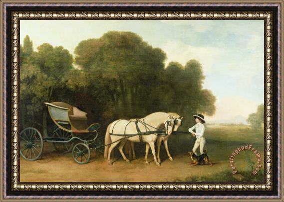 George Stubbs A Phaeton with a Pair of Cream Ponies in the Charge of a Stable-Lad Framed Print