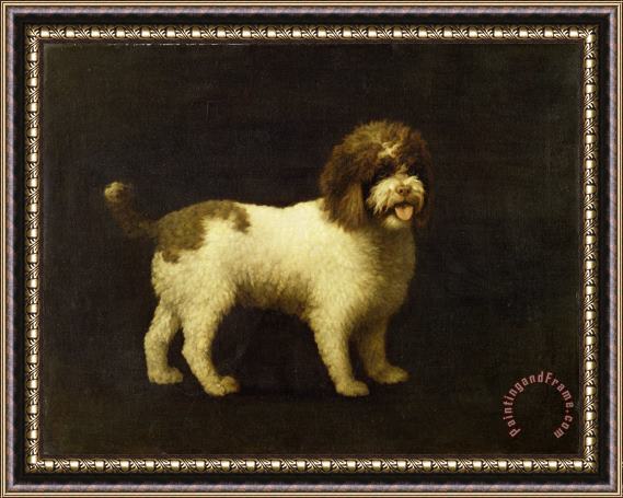 George Stubbs A Water Spaniel Framed Painting