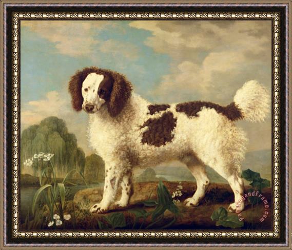 George Stubbs  Brown and White Norfolk or Water Spaniel Framed Painting