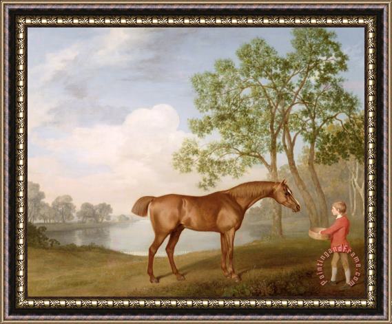 George Stubbs Pumpkin with a Stable-Lad Framed Painting