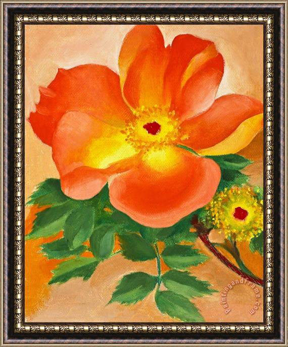Georgia O'keeffe Austrian Copper Rose Iv, 1958 Framed Painting