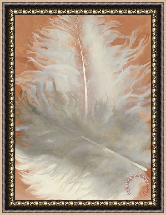 Georgia O'keeffe Feathers, White And Grey, 1942 Framed Print