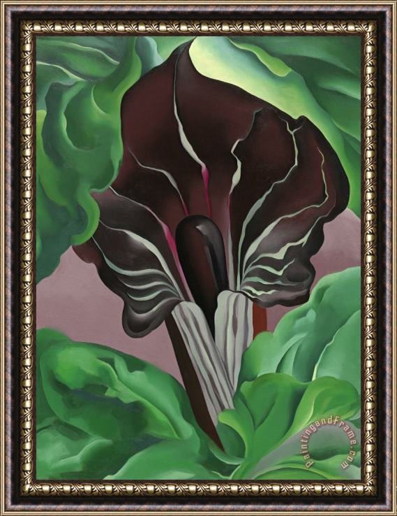 Georgia O'Keeffe Jack in Pulpit No. 2 Framed Painting