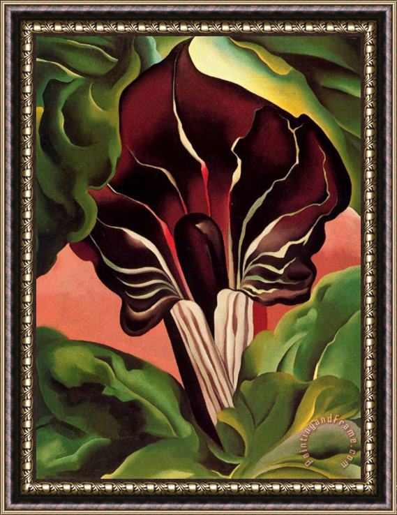 Georgia O'keeffe Jack in The Pulpit II Framed Painting