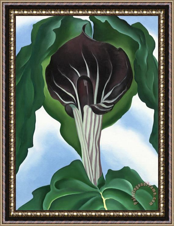 Georgia O'Keeffe Jack in The Pulpit No. 3 Framed Painting