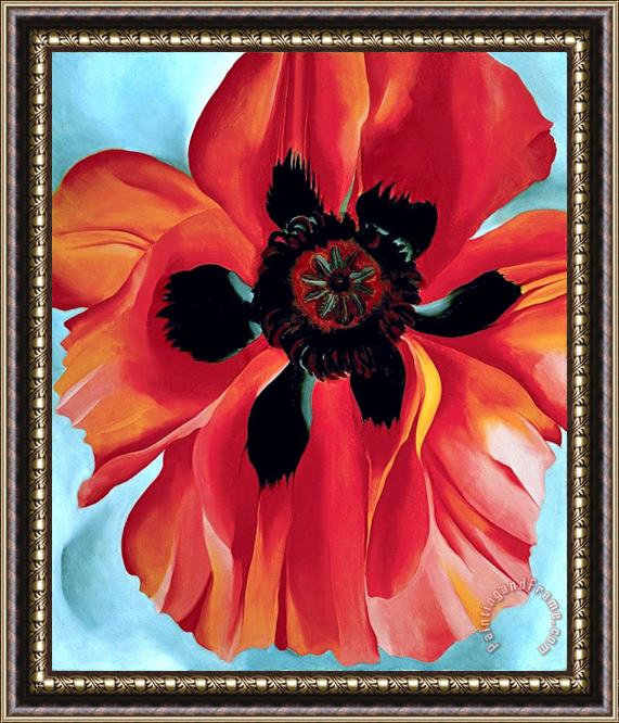 Georgia O'keeffe Red Poppy Vi Framed Painting