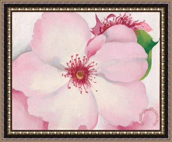 Georgia O'keeffe Rose, 1957 Framed Painting