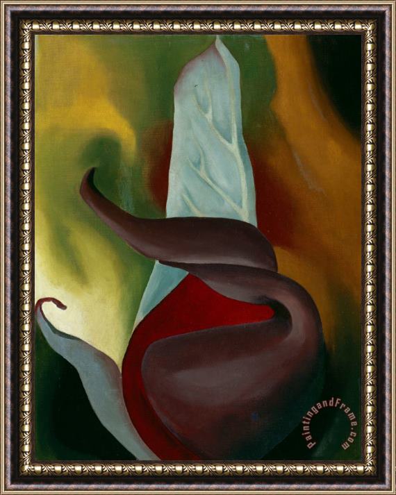 Georgia O'keeffe Skunk Cabbage, 1922 Framed Painting