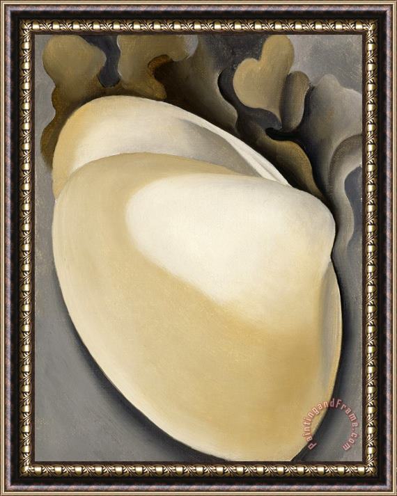 Georgia O'keeffe Tan Clam Shell with Seaweed, 1926 Framed Painting