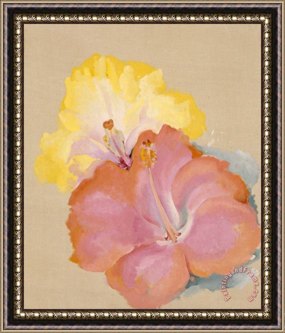Georgia O'keeffe Untitled (hibiscus), 1939 Framed Print