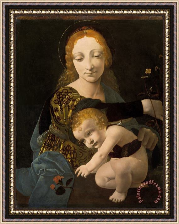 Giovanni Antonio Boltraffio The Virgin And Child (the Madonna of The Rose) Framed Print