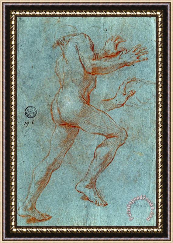 Giovanni Antonio Grecolini Study of a Male Nude Framed Painting