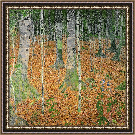 Gustav Klimt The Birch Wood Framed Print