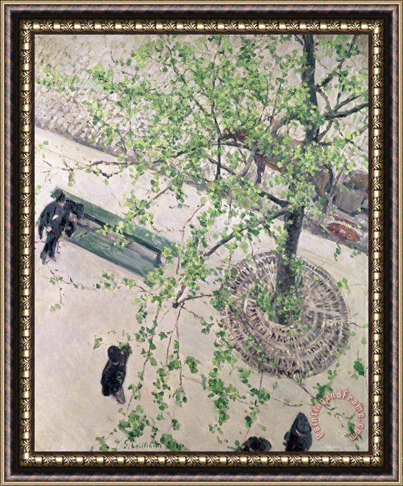 Gustave Caillebotte The Boulevard Viewed From Above Framed Painting