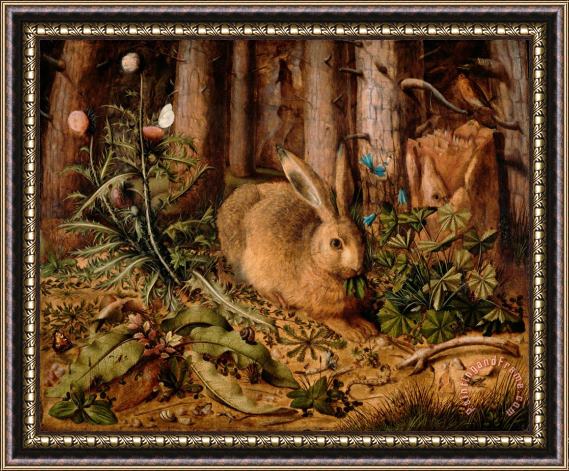 Hans Hoffmann A Hare in The Forest Framed Print