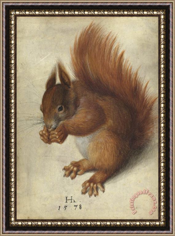 Hans Hoffmann Red Squirrel Framed Painting