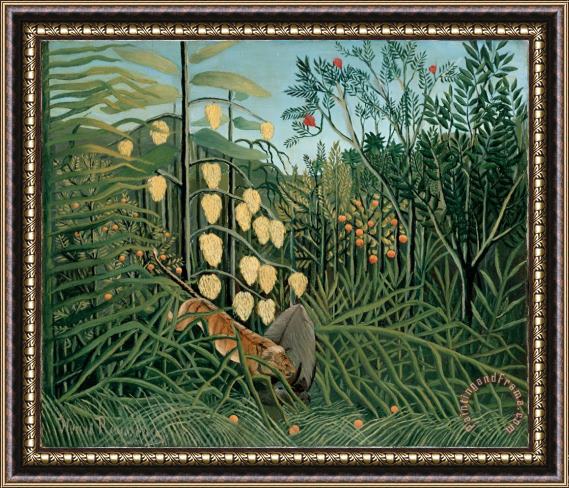 Henri Rousseau In a Tropical Forest. Struggle Between Tiger And Bull Framed Print