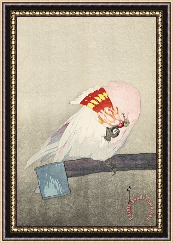 Hiroshi Yoshida Kurumasaka Parrot (dobutsu En, Kurumasaka Omu), From The Zoological Garden Series Framed Print