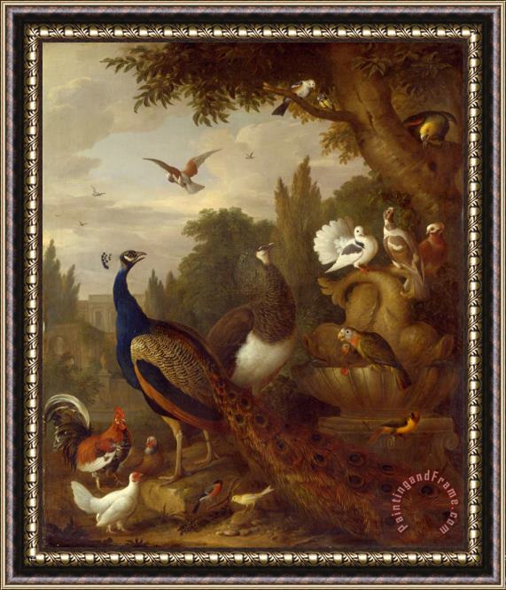 Jacob Bogdani Peacock, Peahen, Parrots, Canary, And Other Birds in a Park Framed Painting