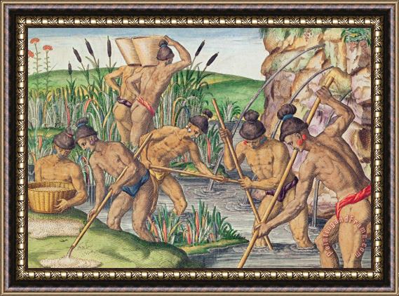 Jacques Le Moyne How The Indians Collect Gold From The Streams Framed Print