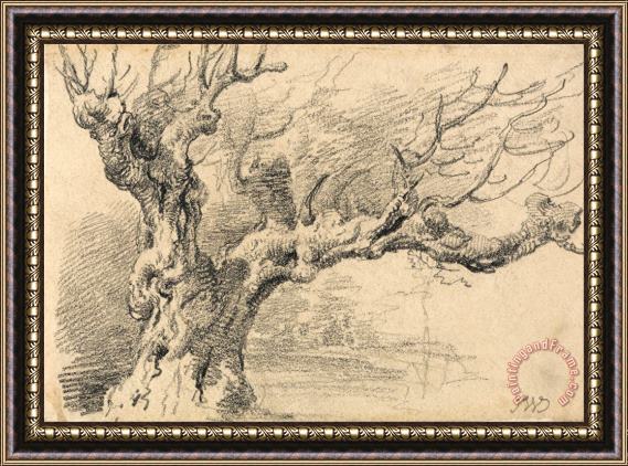 James Ward An Old Oak Tree Framed Painting