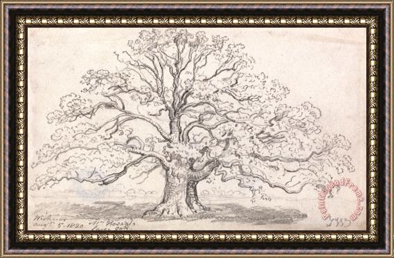 James Ward Mr. Howard's Large Oak, August 5, 1820 Framed Painting