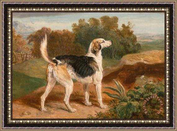 James Ward Ravager, One of The Lambton Hounds Framed Print