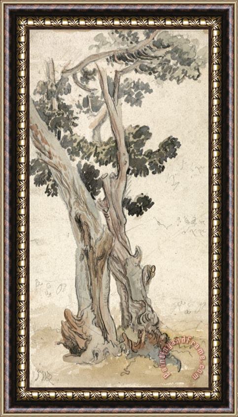 James Ward Study of a Tree Framed Painting
