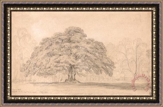 James Ward The Beggar's Oak, Bagot's Park, Aug. 12th, 1820 Framed Painting