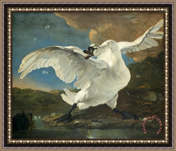 Jan Asselyn The Threatened Swan Framed Painting