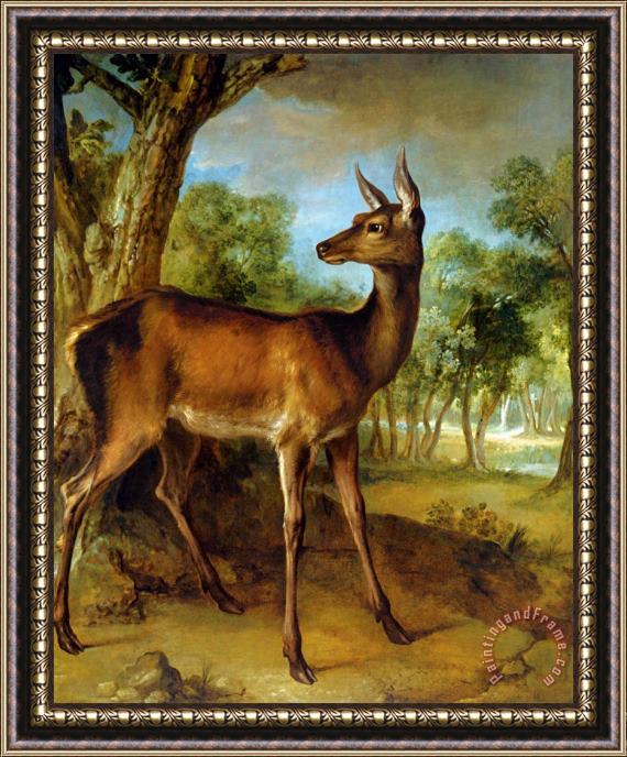Jean Baptiste Oudry The Watchful Doe Framed Painting
