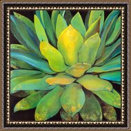 Buy Framed Print