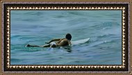 Framed Print Framed Print