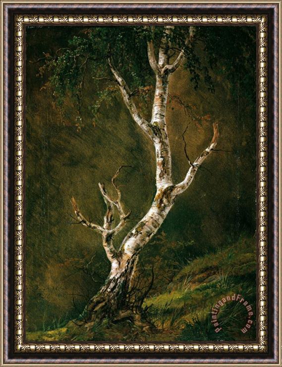 Johan Christian Dahl Study of a Birch Tree Framed Painting