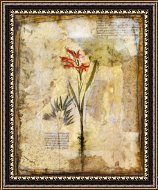 Framed Print Framed Print