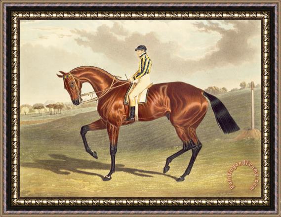 John Frederick Herring Snr Bay Middleton Winner of the Derby in 1836 Framed Print