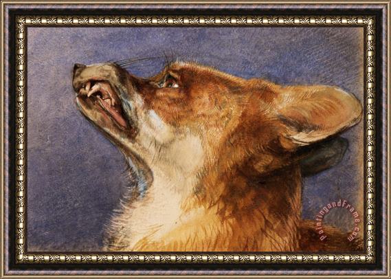 John Frederick Lewis Head of a Fox Framed Painting