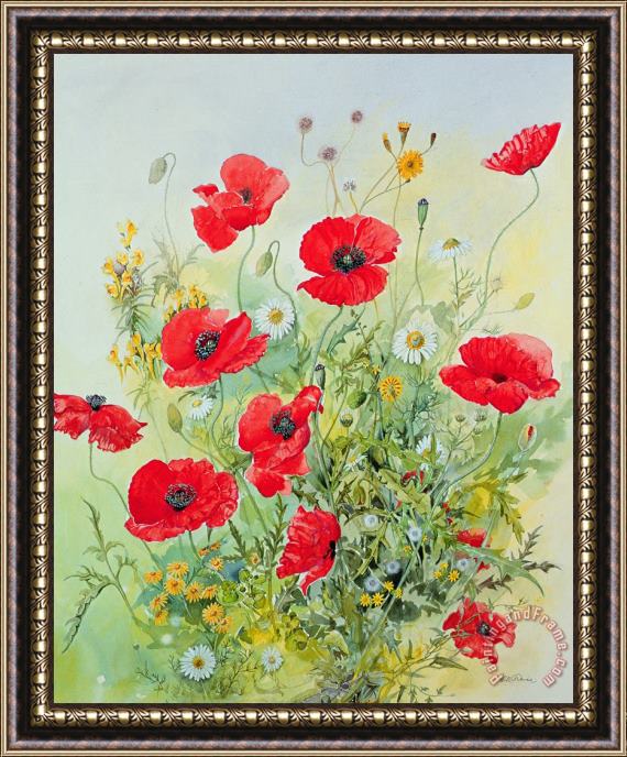 John Gubbins Poppies and Mayweed Framed Painting
