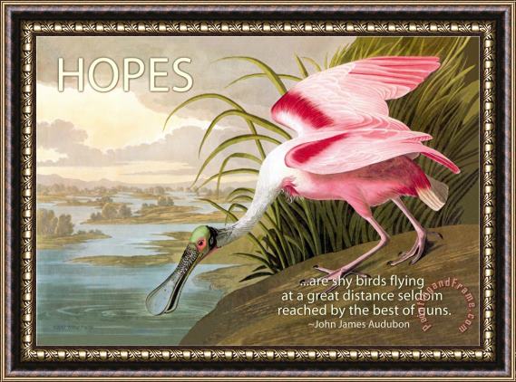 John James Audubon Hopes Are Shy Birds Framed Print