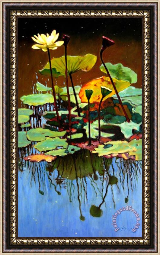 John Lautermilch Lotus In July Framed Print