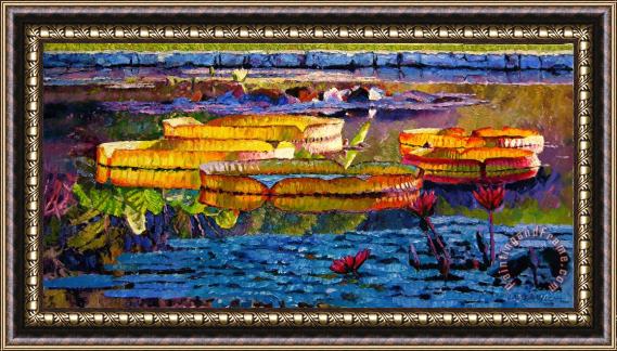 John Lautermilch Sun Color and Paint Framed Print