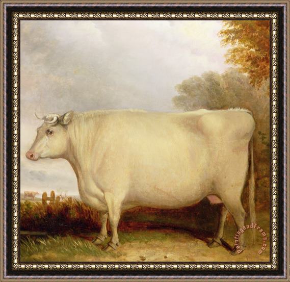 John Vine White Short-horned Cow In A Landscape Framed Painting
