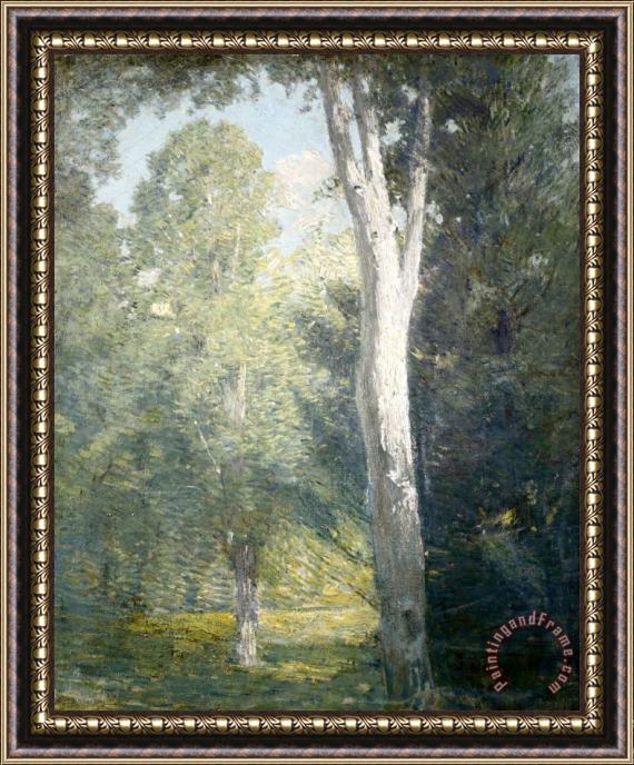 Julian Alden Weir Painting of Birch Trees in Forest Framed Painting