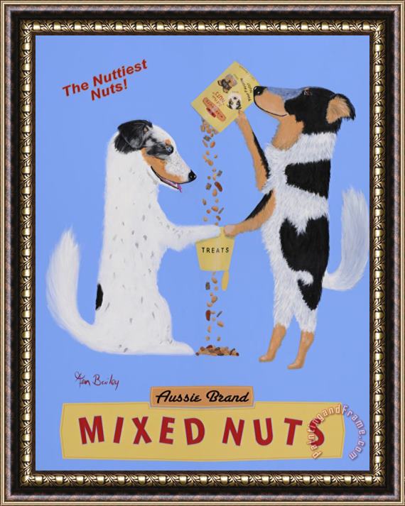 Ken Bailey Mixed Nuts Australian Shepherds Framed Print