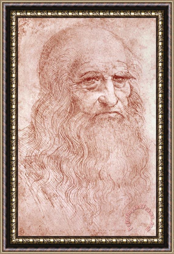 Leonardo da Vinci Portrait Of A Bearded Man Framed Print