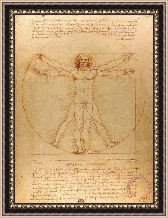 Leonardo da Vinci The Vitruvian Man Framed Print